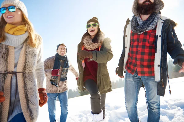 Grupa przyjaciół, posiadanie atrakcje zimowe — Zdjęcie stockowe