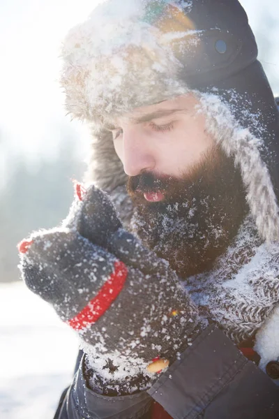 Isınma kadar sakallı 