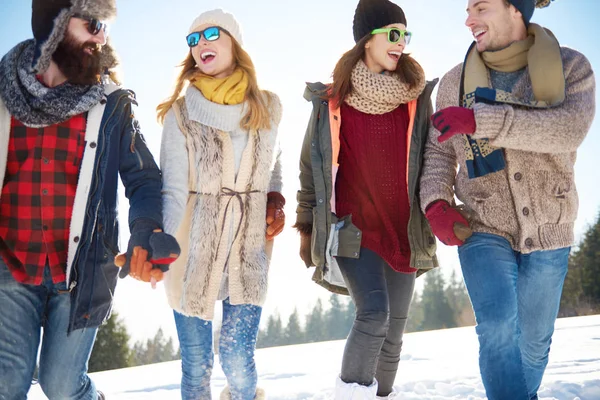 Dağlarda güneşli günde dört arkadaş