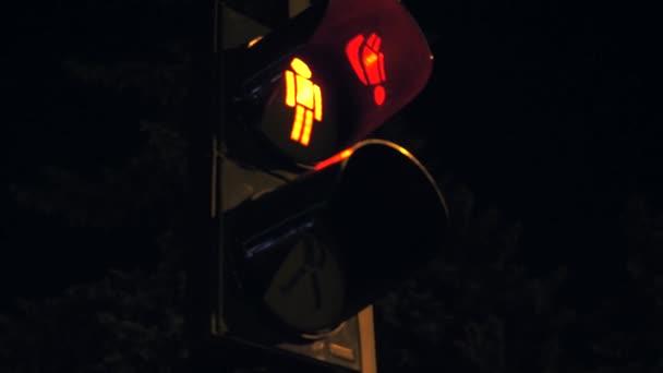 Changeable traffic lights in city — Stock Video