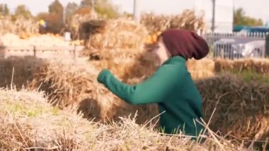 Kabak hasat sırasında etiket oynamak için çocuk