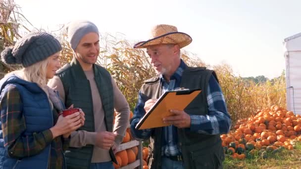 Farmer give couple some guidance as to how segregate pumpkins — Stock Video