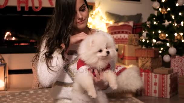 Vrouw Hond Met Een Leuke Kerst — Stockvideo