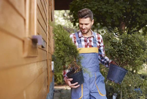 Jardineiro Masculino Segurando Vaso Com Plântulas — Fotografia de Stock