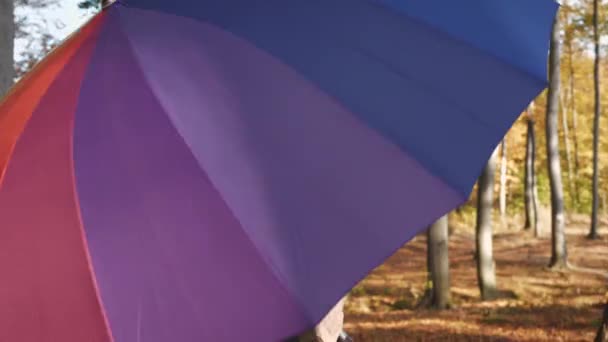 Femme Avec Parapluie Coloré Marchant Dans Forêt — Video