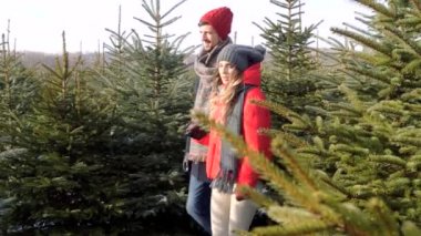 Bir Noel ağacı seçerek Çift 