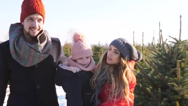Família Procurando Uma Árvore Natal — Vídeo de Stock