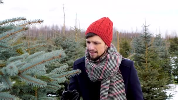 Vrolijke Koppel Zoekt Van Een Kerstboom — Stockvideo