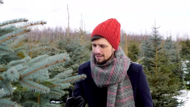 Cheerful couple looking for a christmas tree — Stock Footage Cheerful Couple Looking Christmas Tree Stock Footage
