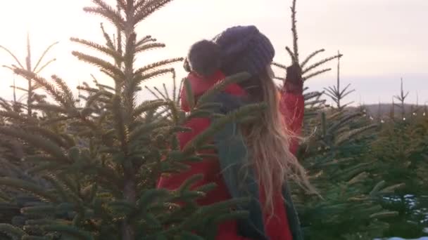 女人找到了一棵完美的圣诞树 — 图库视频影像