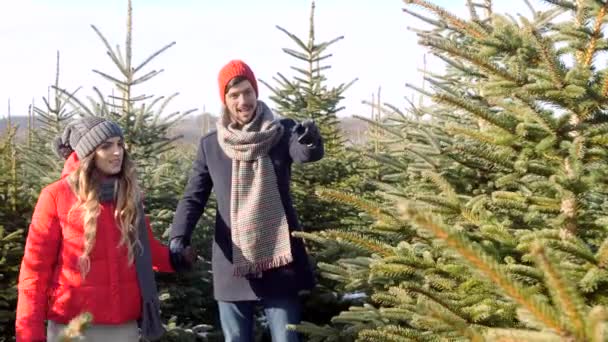 Koppel Zoekt Een Perfecte Kerstboom — Stockvideo