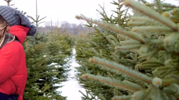 Couple Embrassé Flirtant Dans Forêt — Video