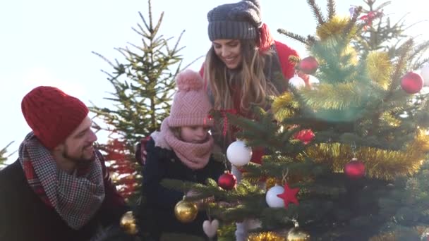 森でクリスマス ツリーを飾る子を持つ親 — ストック動画