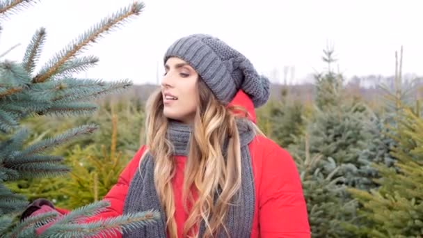 Άνδρας Και Γυναίκα Που Ψάχνει Για Ένα Χριστουγεννιάτικο Δέντρο — Αρχείο Βίντεο