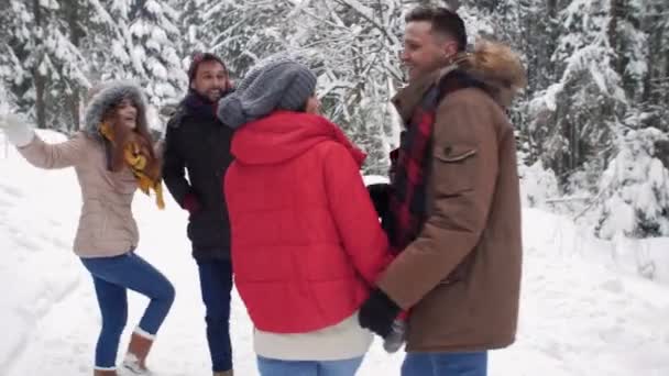 Amigos Durante Las Vacaciones Invierno — Vídeo de stock