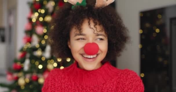 Noel Çılgın Bir Gün Geçiriyorum — Stok video