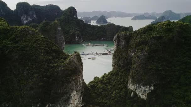 Luftaufnahme Der Halong Bucht Vietnam — Stockvideo