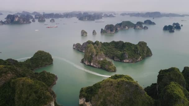 Widok Lotu Ptaka Zatokę Halong Wietnamie — Wideo stockowe