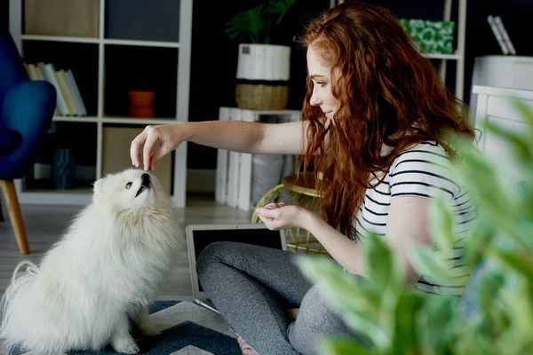 Ruiva Mulher Alimentando Seu Cão Com Alguns Lanches — Fotografia de Stock