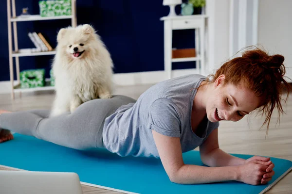 Mulher Fazendo Alguns Exercícios Ioga Com Seu Cão Casa — Fotografia de Stock