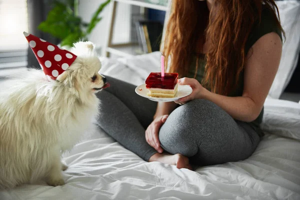 Woman Having Birthday Cake Her Pet Dog — Stock Photo, Image
