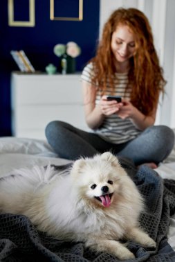 Ön plandaki köpek ve arka plandaki sahibi.
