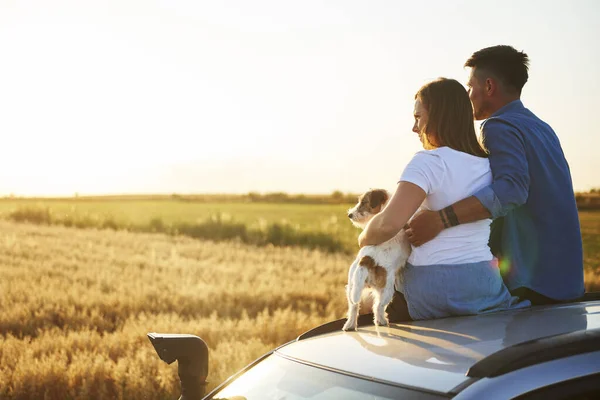 Vista Trasera Pareja Con Perro Sentado Coche —  Fotos de Stock