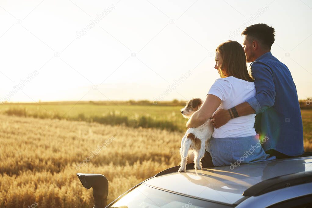 Rear view of couple with their dog sitting on car.