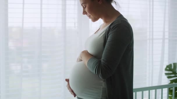 Video Einer Schwangeren Frau Die Ihren Fortgeschrittenen Bauch Streichelt Aufnahme — Stockvideo