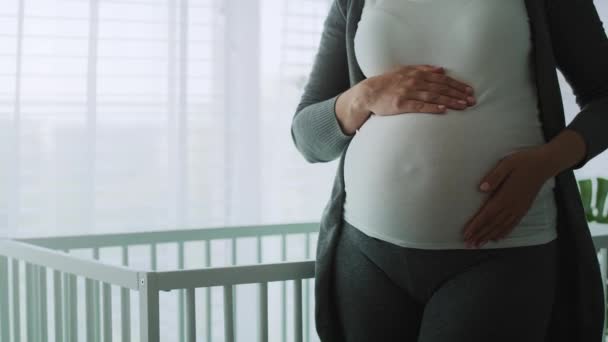 Detailní Video Těhotné Ženy Hladí Pokročilé Těhotné Břicho Snímek Red — Stock video