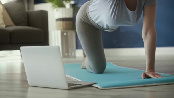 Vidéo Statique Femme Apprenant Une Pose Yoga — Video