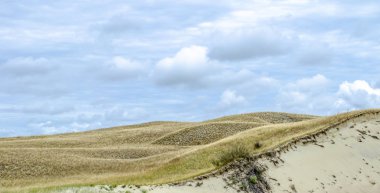 Curonian Tükürük kum tepelerinin sakin manzarası bulutlu gökyüzüne karşı metin için yer var.