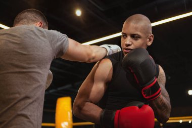 Boks salonunda birlikte çalışan iki erkek boksör.