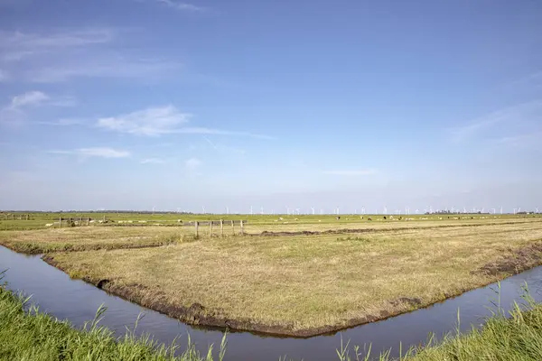 La riva di un torrente, paesaggio tipico dell'Olanda, turbine — Foto Stock