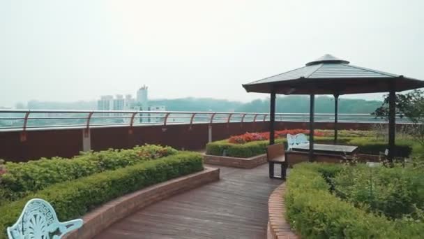 Wooden Gazebo Table Scoops Wooden Floor Sprouts Flowers Standing Roof — Stock Video