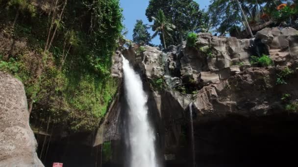 Video Van Een Grote Waterval Rotsen Met Palmbomen — Stockvideo