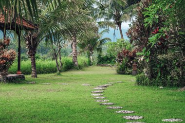 Çatı ve palmiye ağaçlarıyla dikilen antik çardağın fotoğrafı.