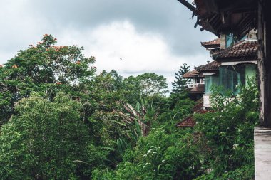 Binanın balkonu ve yeşil ağaçların pencere manzaralı fotoğrafı