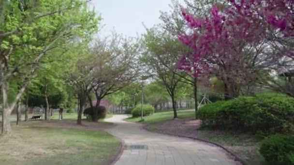Botanischer Garten Mit Wachsenden Roten Bäumen Und Blumen Mit Verschwommenem — Stockvideo
