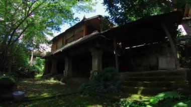 Koyu yeşil bir labirentte birinci şahıs görüşüyle yürüyen bir kişinin videosu.