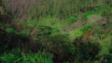 Endonezya 'daki Java adasında bulutlu yüksek volkan videosu