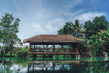 Arka planda büyük bir çardağı, havuzu ve palmiye ağaçları olan tropikal bir yaz bahçesinin fotoğrafı.