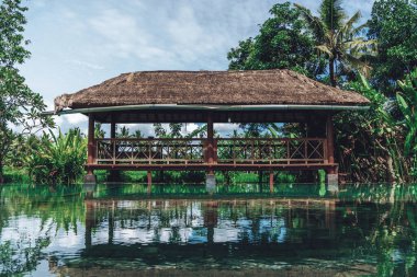 Arka planda büyük bir çardağı, havuzu ve palmiye ağaçları olan tropikal bir yaz bahçesinin fotoğrafı.
