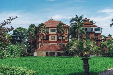 Arka planda palmiye ağaçları ve bulutlar olan pirinç tarlasında büyük evleri olan tropikal bir yaz bahçesinin fotoğrafı.