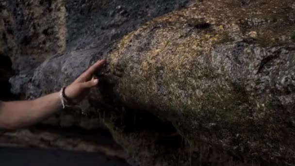 생기고 남자가 사이를 거닐다가 손으로 바위들을 만진다 — 비디오