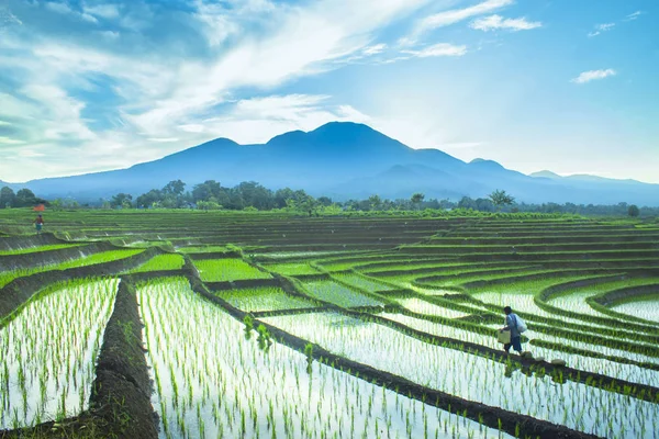 美丽的早晨 在山中 有反射的水 — 图库照片