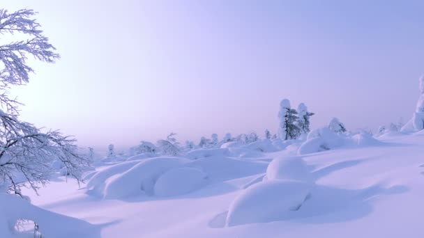 Inverno paesaggio soleggiato e fotografo — Video Stock