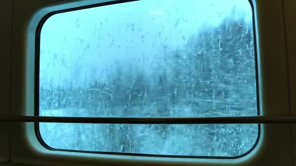 Vista a través de la ventana del tren en el bosque de invierno. Bucle sin costura — Vídeos de Stock