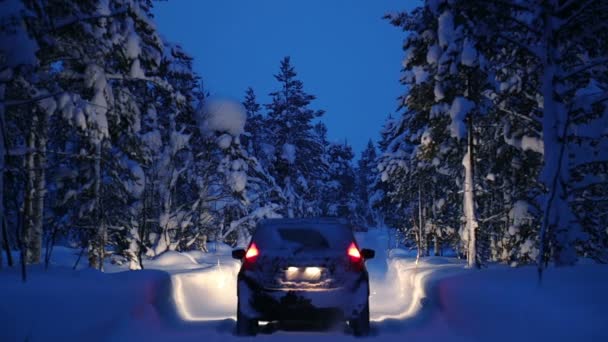 Nieve nocturna en el bosque de invierno y un coche con faros — Vídeo de stock