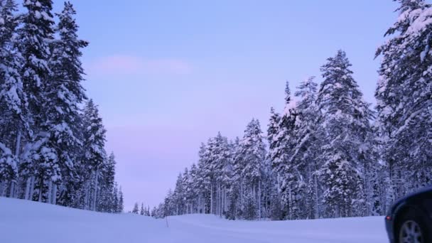 Auto solitaria su una strada forestale invernale — Video Stock